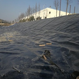 防滲膜水稻(防滲膜水稻種植攻略) 防滲膜水稻(防滲膜水稻種植攻略)