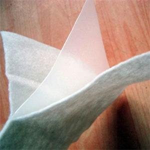 復(fù)合土工膜